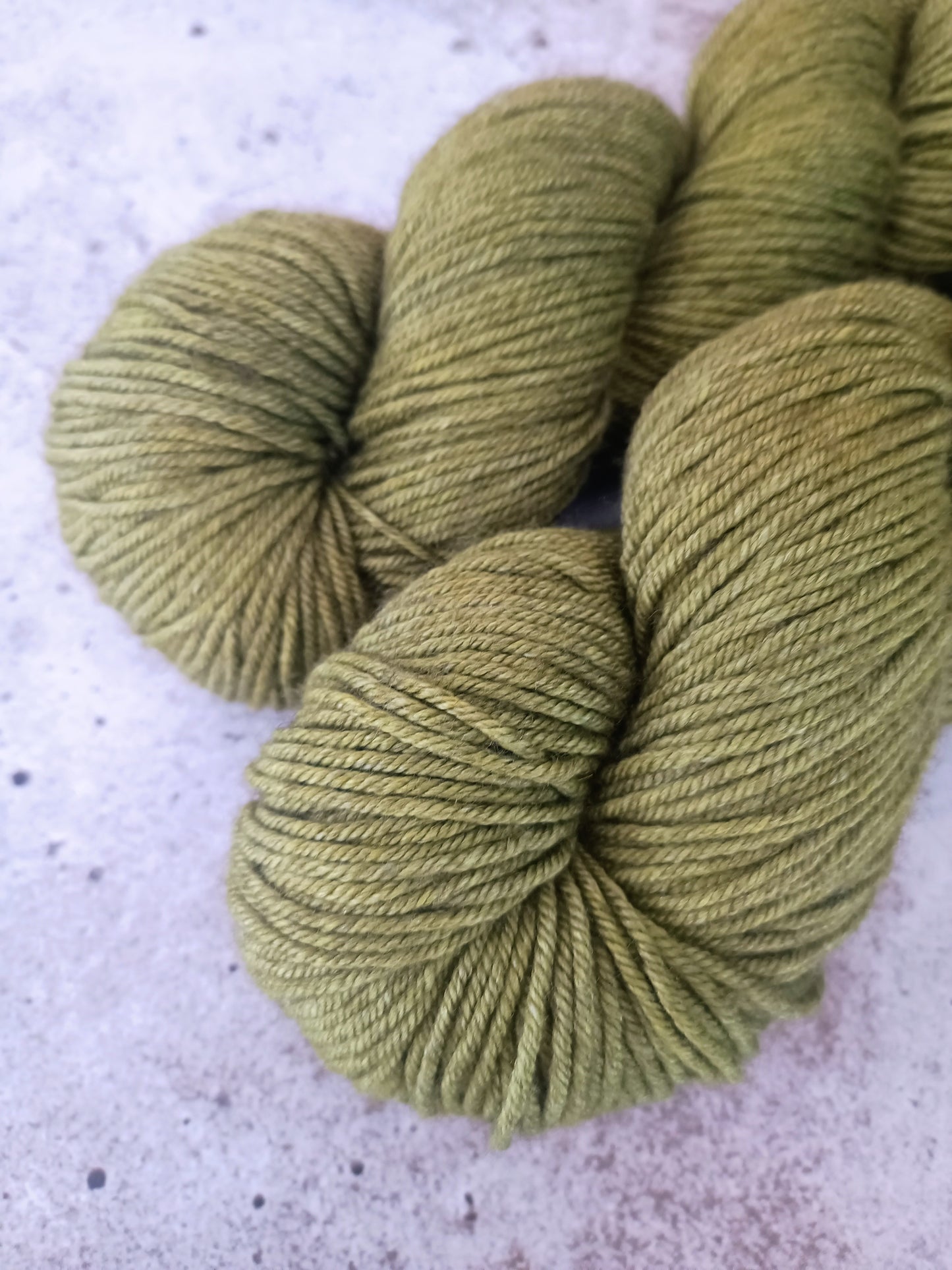 Tibet DK - Grashüpfer