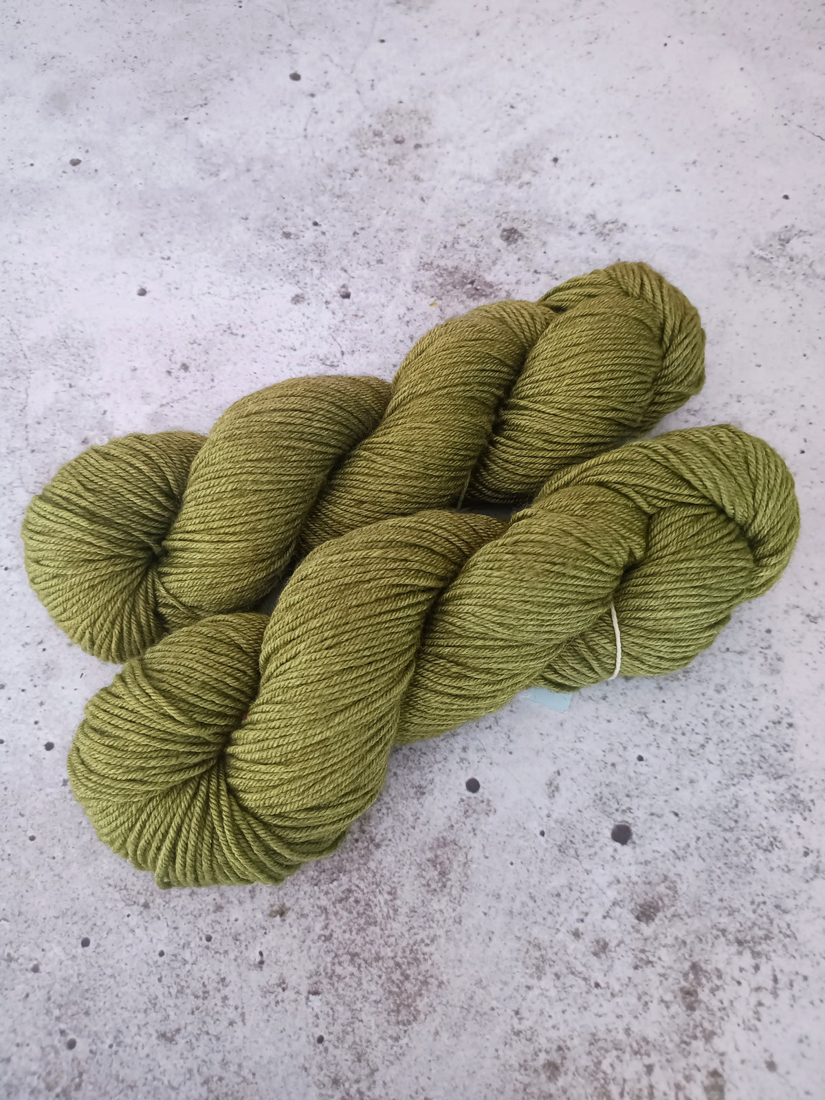 Tibet DK - Grashüpfer
